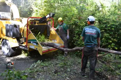 tree services Nappanee